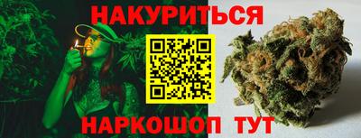 прущие крисы Новодвинск