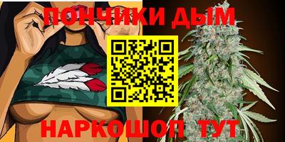 прущие крисы Новодвинск